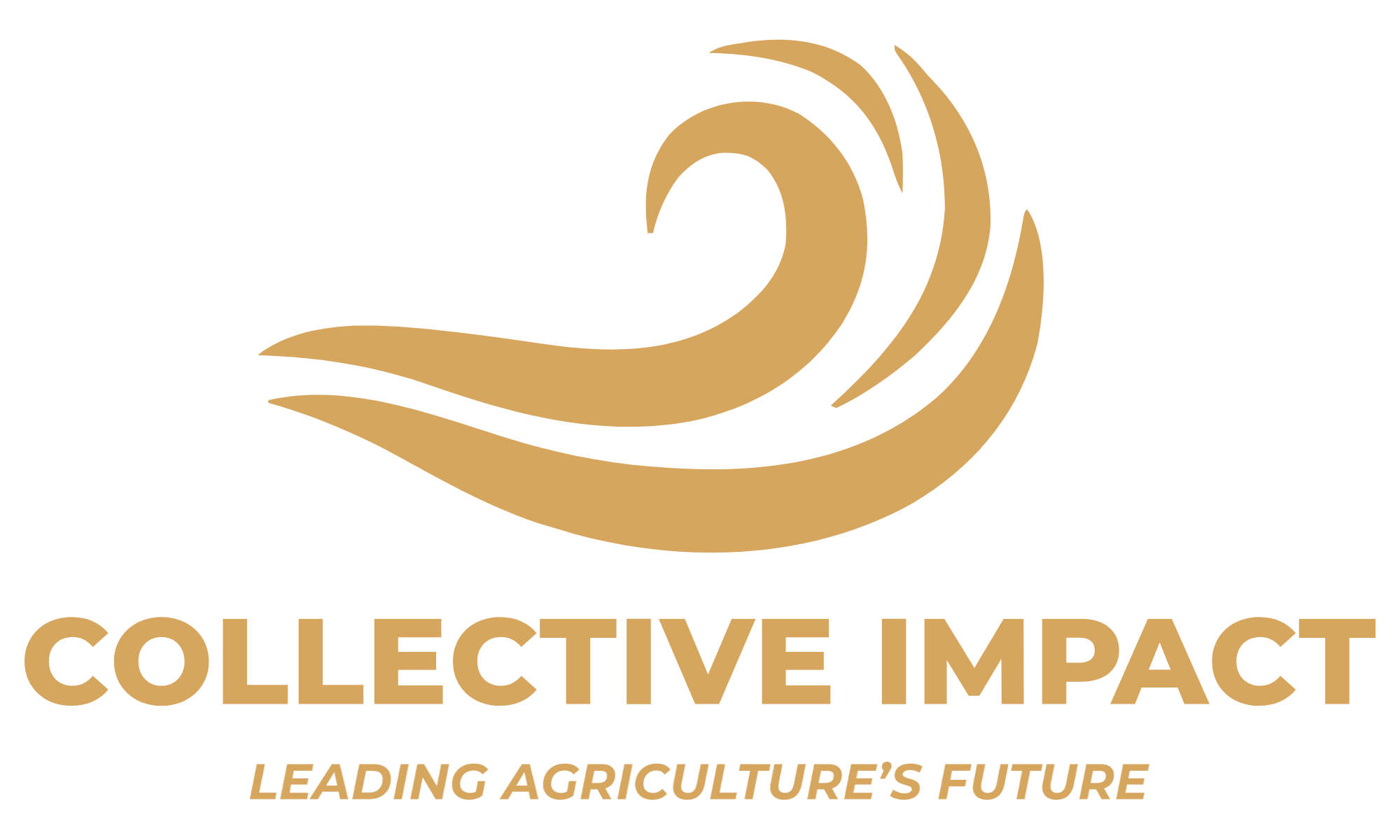 Collective Impact