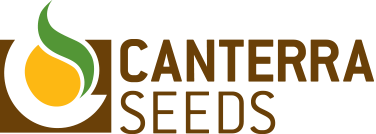 Canterra Seeds